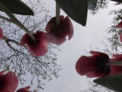 -山东大学(软件园校区)