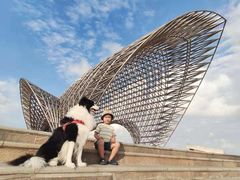 -南汇嘴观海公园