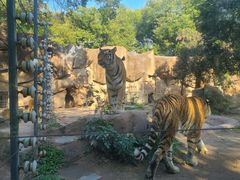 -荆州中山公园动物园