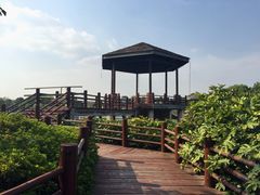-荷塘月色湿地公园·向阳花洲