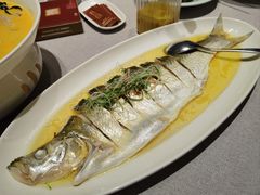 -拾宴(汇智国际商业中心店)