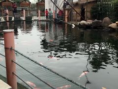 -湖鲜楼