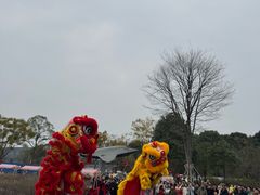 -成飞公园