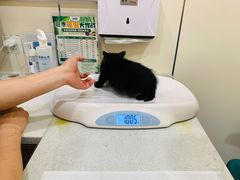 -萌兽医馆·犬猫专科·眼科中心·宠物医院(朝阳门分院)