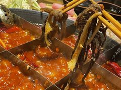-安胖老火锅(两路口店)