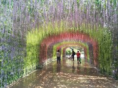 -济南方特东方神画