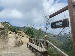 -大岭沟猕猴桃谷风景区