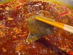 -李掌柜鲜菜火锅(移民广场店)