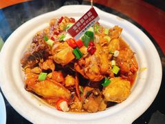 金牌姜母鸡风炉-风炉记忆·非遗风炉菜(处州府城店)