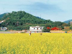 -光明小镇欢乐田园