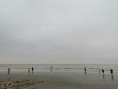 -南汇嘴观海公园