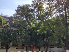 -苏记餐厅(叠南店)