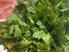 -大龙燚火锅(南山大道店)