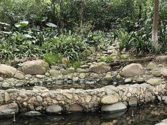 -成都市活水公园