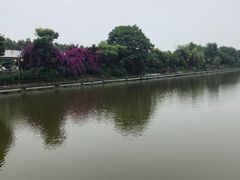 -马帮寨院坝火锅(龙港公园店)