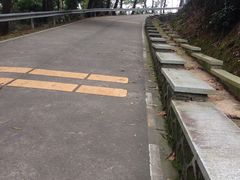 -风云岭森林公园