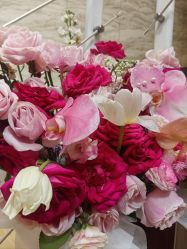 -Xmm小蜜密私密健康抗衰连锁品牌