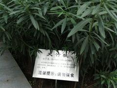 -莲湖公园