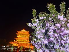 -台儿庄古城