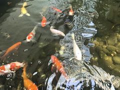 -绿房子方寸咖啡(星海名城店)