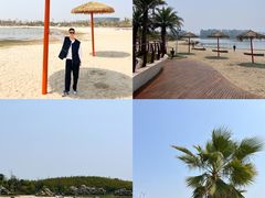 -九龙湖公园