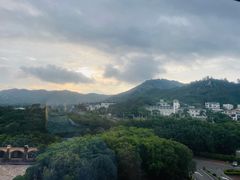 -八婆婆烧仙草(中山路店)