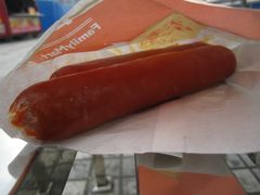 奥尔良香辣脆骨肠-全家便利店(长江南路站店)