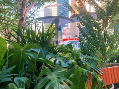 -农畉LONFOOD(福田星河COCOPark店)