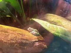 -上海大自然野生昆虫馆(东方明珠·爬宠昆虫探索中心)