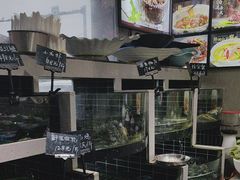 -农乐园食府(梅城镇店)