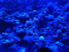 -太平洋海底世界