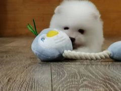-美联众合24小时·皮肤科·外科·全科诊疗中心(华苑分院)