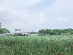 -东湖落雁景区