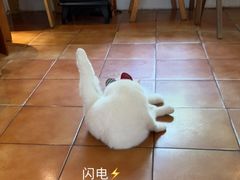 -彳亍咖啡·这里(水湾路店)