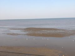 -东疆理想海岸沙滩景区
