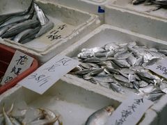 -新享乐海鲜(翠华路店)