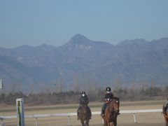 -上林马术中央公园·户外露营·团建·骑乘