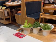 -傣妹火锅(南京东路一店)