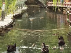 -水磨沟公园
