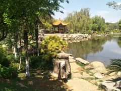 -洛龙公园