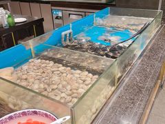 -钱小奴创意自助餐厅·原切谷饲安格斯畅吃(宁波奉化银泰店)