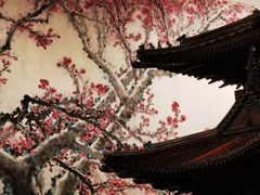 -中国紫檀博物馆