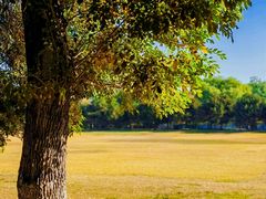 -石家庄市植物园