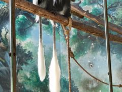 -石家庄市动物园