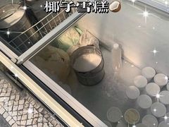 -洪馨椰子