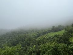 -敬亭山风景名胜区