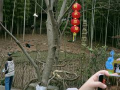 -天目湖山水园