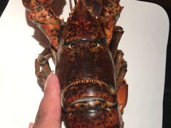 -外滩悦榕庄·海怡西餐厅