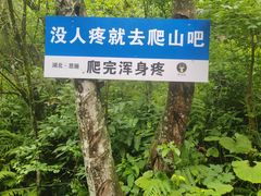 -鹿院坪生态旅游景区