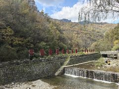 -牛背梁国家森林公园